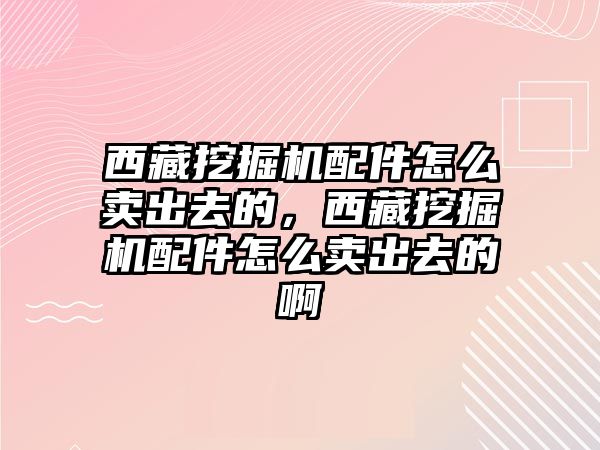 西藏挖掘機(jī)配件怎么賣出去的，西藏挖掘機(jī)配件怎么賣出去的啊