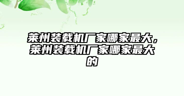 萊州裝載機(jī)廠家哪家最大，萊州裝載機(jī)廠家哪家最大的