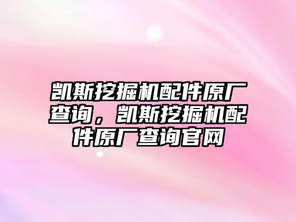 凱斯挖掘機(jī)配件原廠查詢，凱斯挖掘機(jī)配件原廠查詢官網(wǎng)
