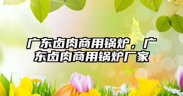 廣東鹵肉商用鍋爐，廣東鹵肉商用鍋爐廠家