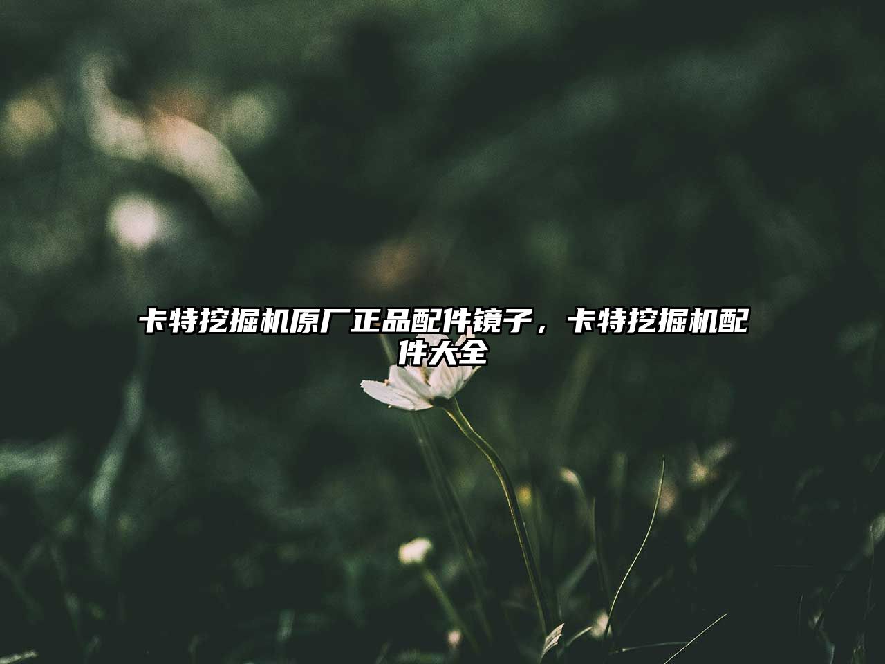 卡特挖掘機(jī)原廠正品配件鏡子，卡特挖掘機(jī)配件大全