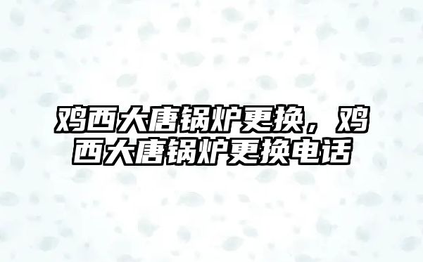 雞西大唐鍋爐更換，雞西大唐鍋爐更換電話