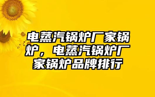 電蒸汽鍋爐廠家鍋爐，電蒸汽鍋爐廠家鍋爐品牌排行