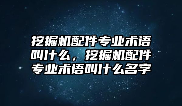 挖掘機(jī)配件專業(yè)術(shù)語叫什么，挖掘機(jī)配件專業(yè)術(shù)語叫什么名字