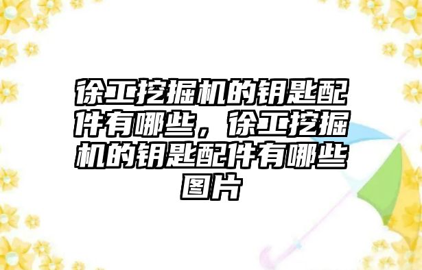 徐工挖掘機的鑰匙配件有哪些，徐工挖掘機的鑰匙配件有哪些圖片