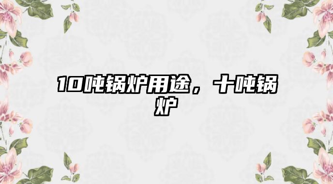 10噸鍋爐用途，十噸鍋爐