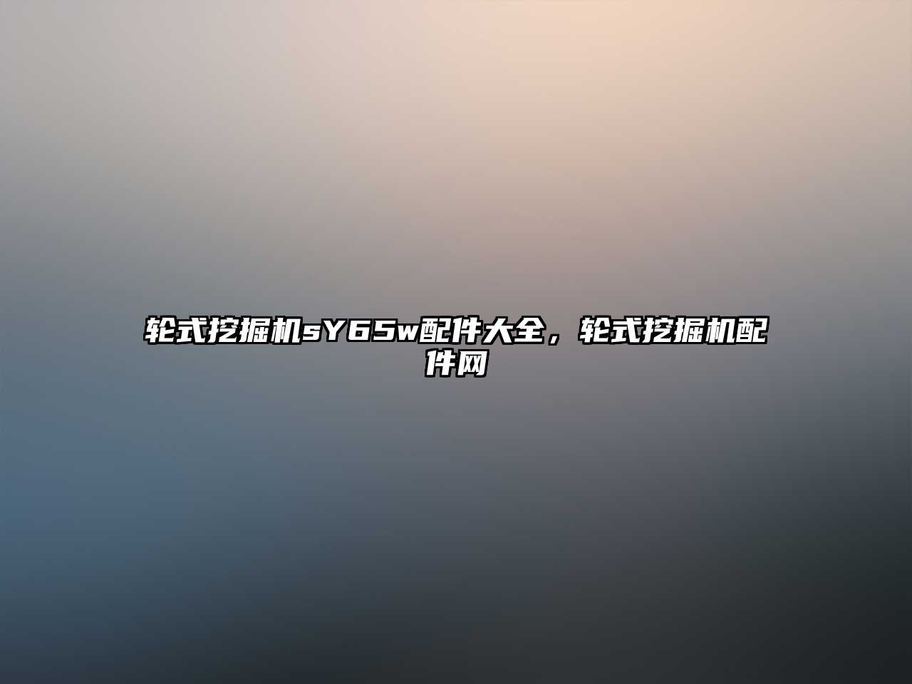 輪式挖掘機(jī)sY65w配件大全，輪式挖掘機(jī)配件網(wǎng)