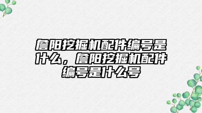 詹陽挖掘機配件編號是什么，詹陽挖掘機配件編號是什么號