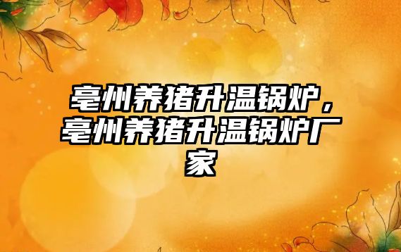 亳州養(yǎng)豬升溫鍋爐，亳州養(yǎng)豬升溫鍋爐廠家
