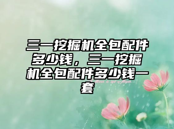 三一挖掘機全包配件多少錢，三一挖掘機全包配件多少錢一套