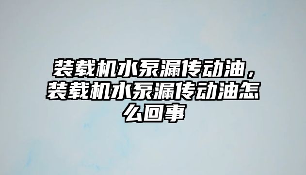 裝載機水泵漏傳動油，裝載機水泵漏傳動油怎么回事