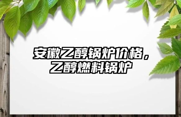 安徽乙醇鍋爐價格，乙醇燃料鍋爐