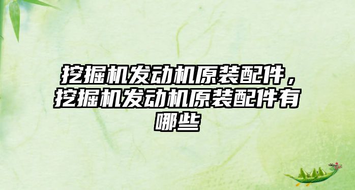 挖掘機發(fā)動機原裝配件，挖掘機發(fā)動機原裝配件有哪些