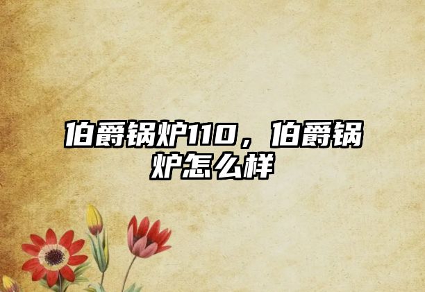 伯爵鍋爐110，伯爵鍋爐怎么樣