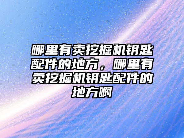 哪里有賣挖掘機(jī)鑰匙配件的地方，哪里有賣挖掘機(jī)鑰匙配件的地方啊