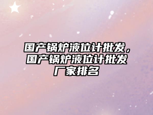 國產(chǎn)鍋爐液位計(jì)批發(fā)，國產(chǎn)鍋爐液位計(jì)批發(fā)廠家排名
