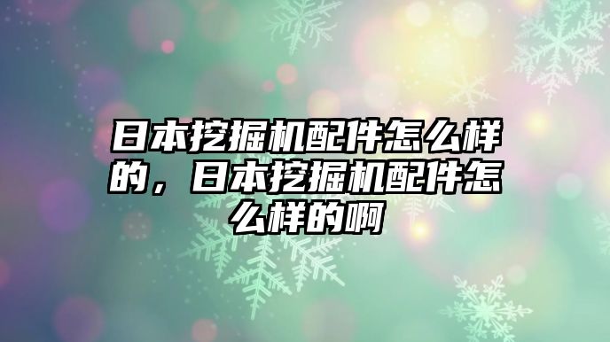 日本挖掘機(jī)配件怎么樣的，日本挖掘機(jī)配件怎么樣的啊