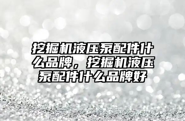 挖掘機液壓泵配件什么品牌，挖掘機液壓泵配件什么品牌好