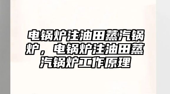 電鍋爐注油田蒸汽鍋爐，電鍋爐注油田蒸汽鍋爐工作原理