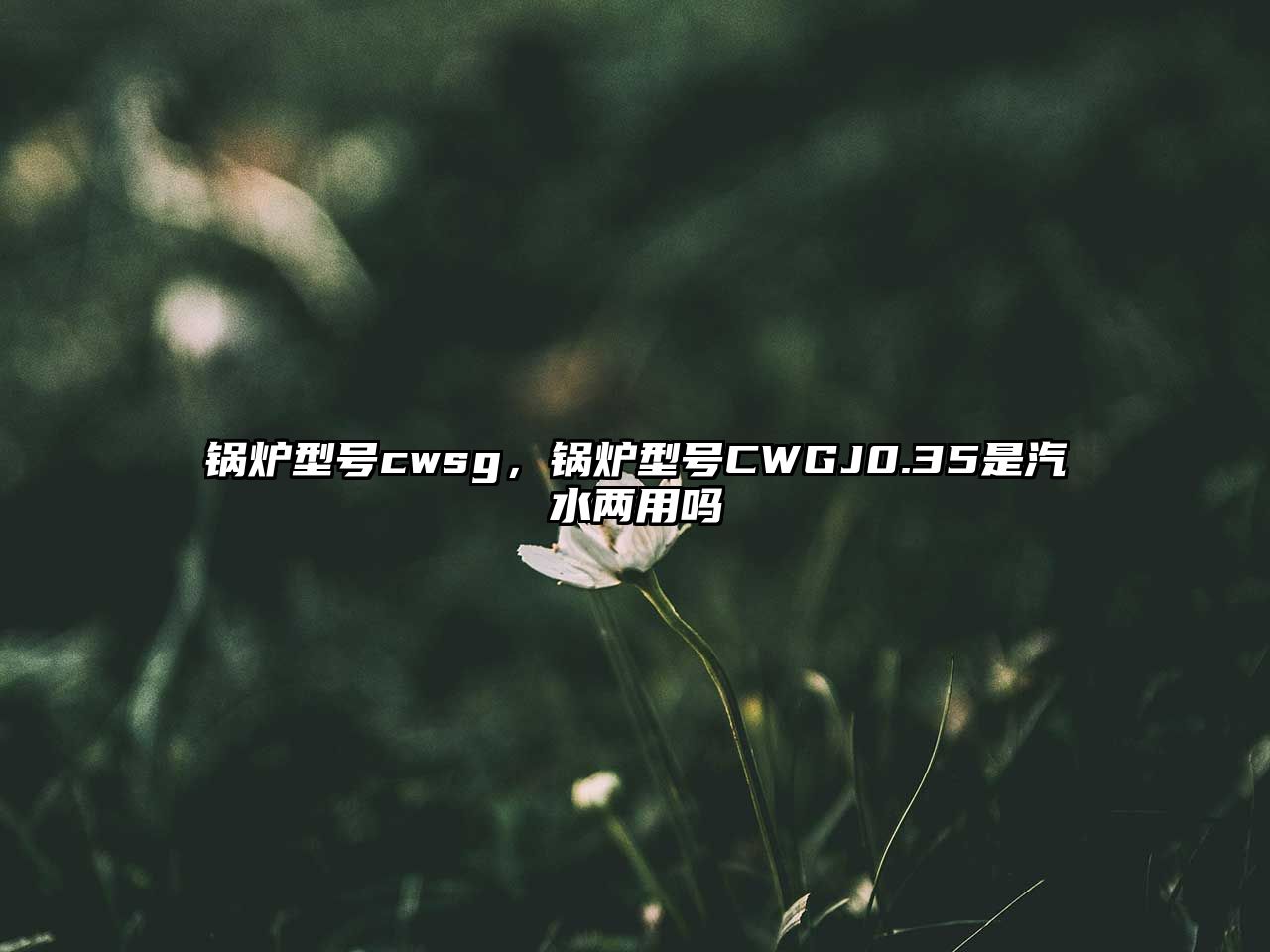 鍋爐型號(hào)cwsg，鍋爐型號(hào)CWGJ0.35是汽水兩用嗎
