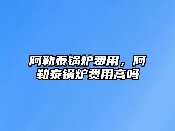 阿勒泰鍋爐費(fèi)用，阿勒泰鍋爐費(fèi)用高嗎