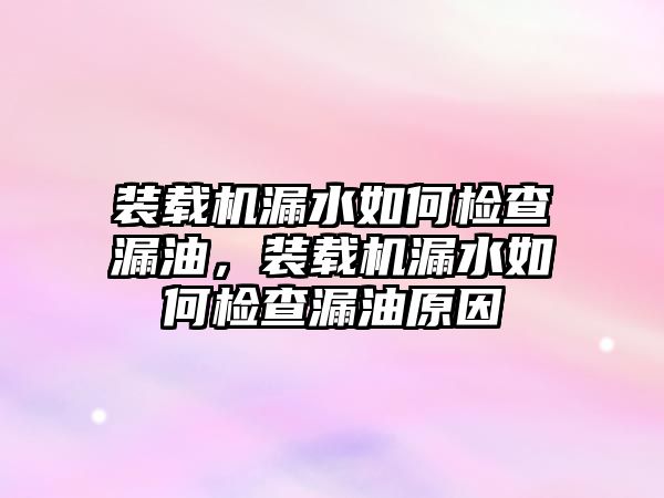 裝載機漏水如何檢查漏油，裝載機漏水如何檢查漏油原因