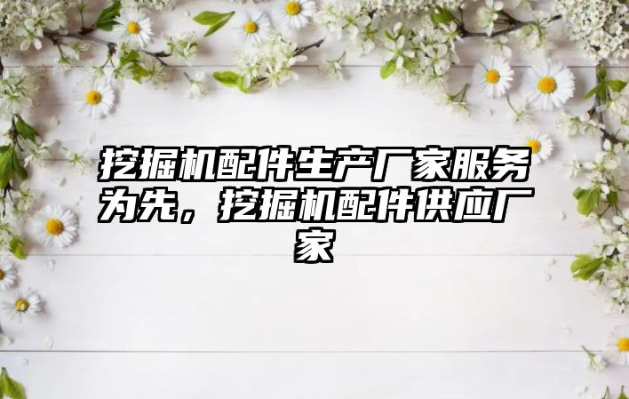 挖掘機配件生產(chǎn)廠家服務(wù)為先，挖掘機配件供應(yīng)廠家