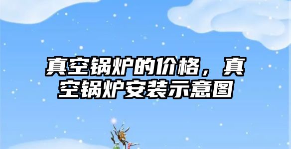 真空鍋爐的價(jià)格，真空鍋爐安裝示意圖