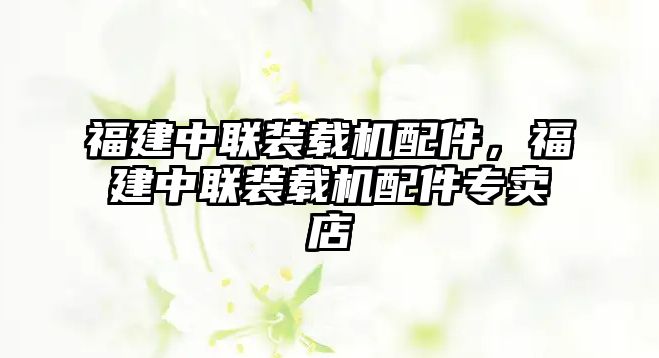 福建中聯(lián)裝載機(jī)配件，福建中聯(lián)裝載機(jī)配件專(zhuān)賣(mài)店