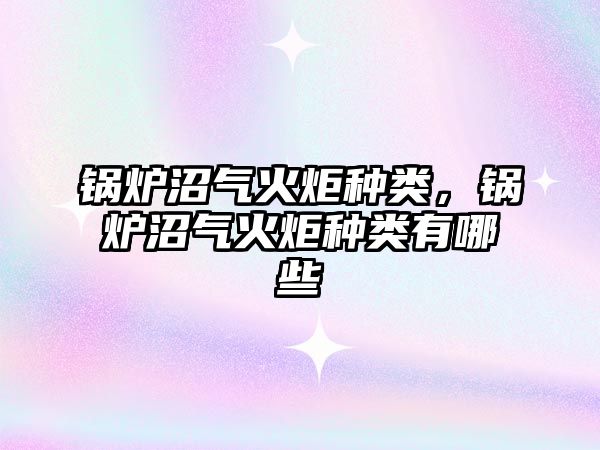 鍋爐沼氣火炬種類(lèi)，鍋爐沼氣火炬種類(lèi)有哪些