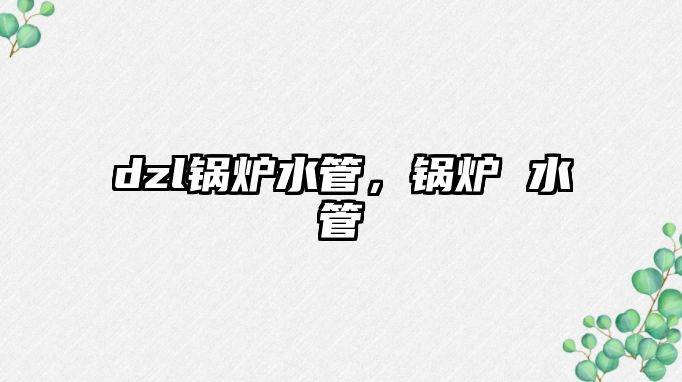 dzl鍋爐水管，鍋爐 水管