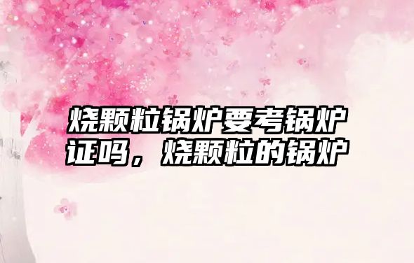 燒顆粒鍋爐要考鍋爐證嗎，燒顆粒的鍋爐