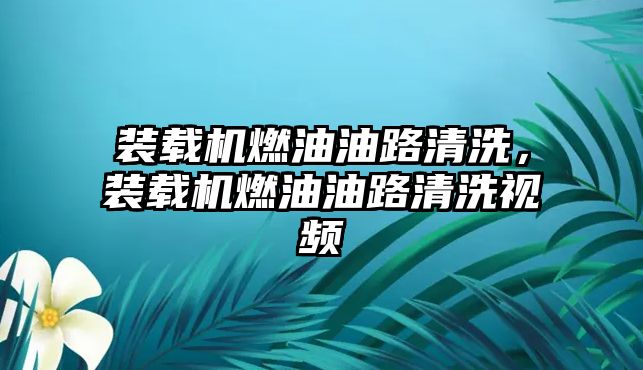 裝載機燃油油路清洗，裝載機燃油油路清洗視頻