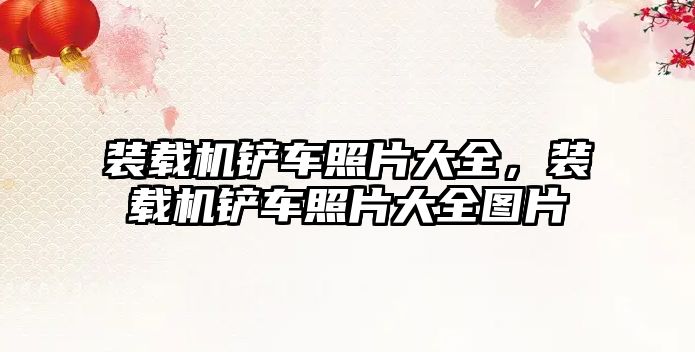 裝載機(jī)鏟車照片大全，裝載機(jī)鏟車照片大全圖片