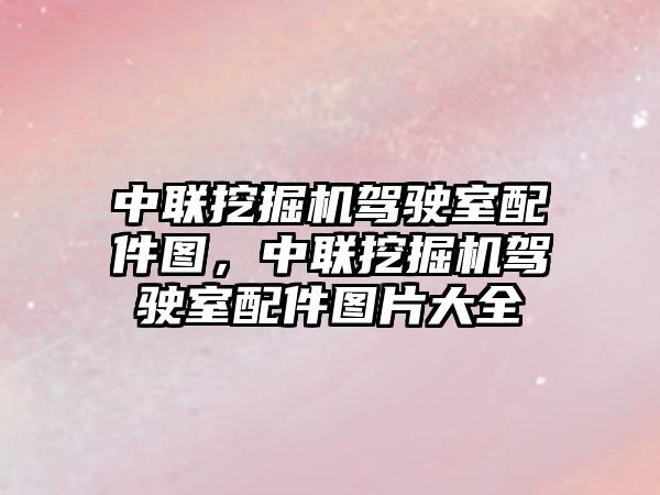 中聯(lián)挖掘機駕駛室配件圖，中聯(lián)挖掘機駕駛室配件圖片大全