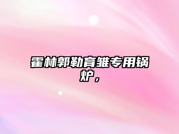 霍林郭勒育雛專(zhuān)用鍋爐，
