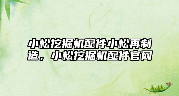 小松挖掘機(jī)配件小松再制造，小松挖掘機(jī)配件官網(wǎng)
