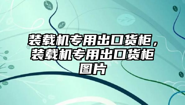裝載機專用出口貨柜，裝載機專用出口貨柜圖片