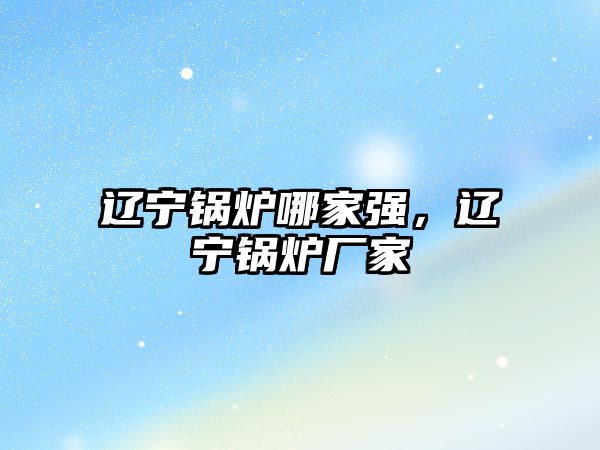 遼寧鍋爐哪家強，遼寧鍋爐廠家