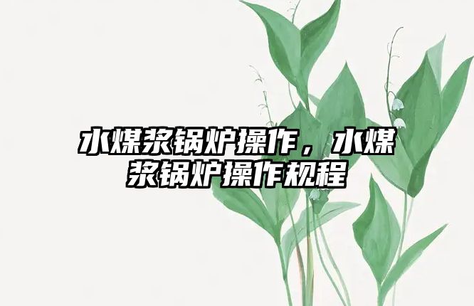 水煤漿鍋爐操作，水煤漿鍋爐操作規(guī)程
