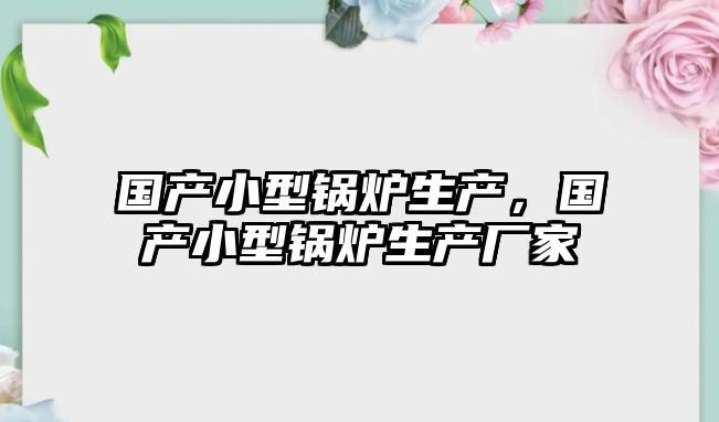 國產小型鍋爐生產，國產小型鍋爐生產廠家