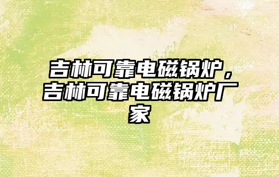 吉林可靠電磁鍋爐，吉林可靠電磁鍋爐廠家