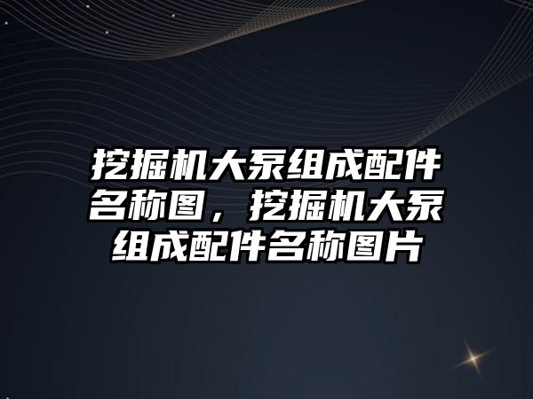 挖掘機(jī)大泵組成配件名稱圖，挖掘機(jī)大泵組成配件名稱圖片