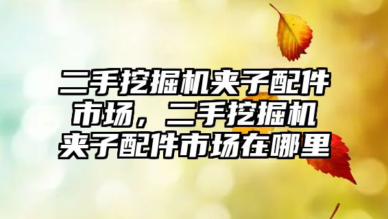 二手挖掘機(jī)夾子配件市場(chǎng)，二手挖掘機(jī)夾子配件市場(chǎng)在哪里