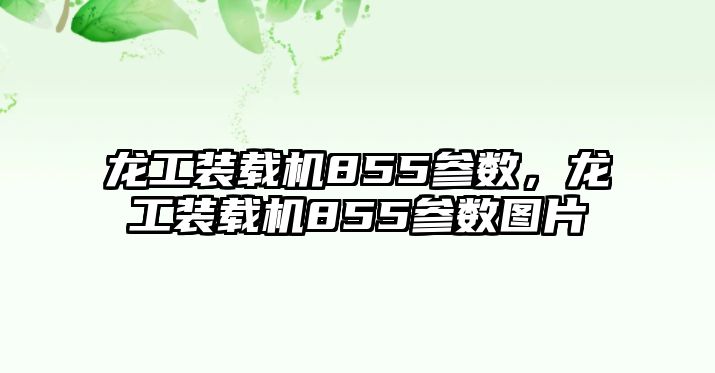 龍工裝載機855參數(shù)，龍工裝載機855參數(shù)圖片