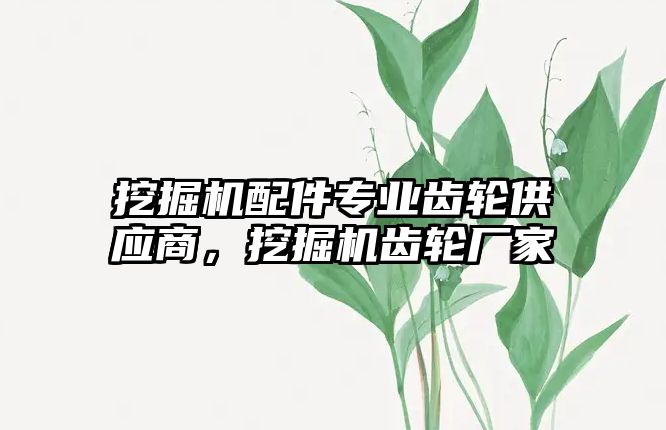 挖掘機配件專業(yè)齒輪供應(yīng)商，挖掘機齒輪廠家