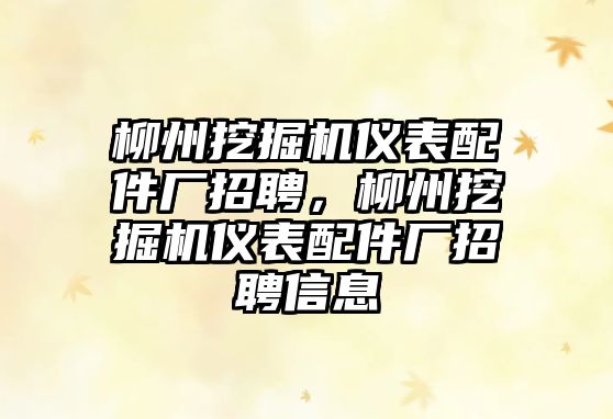 柳州挖掘機儀表配件廠招聘，柳州挖掘機儀表配件廠招聘信息