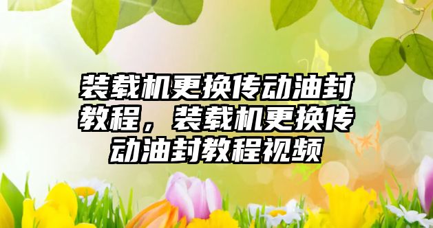 裝載機更換傳動油封教程，裝載機更換傳動油封教程視頻