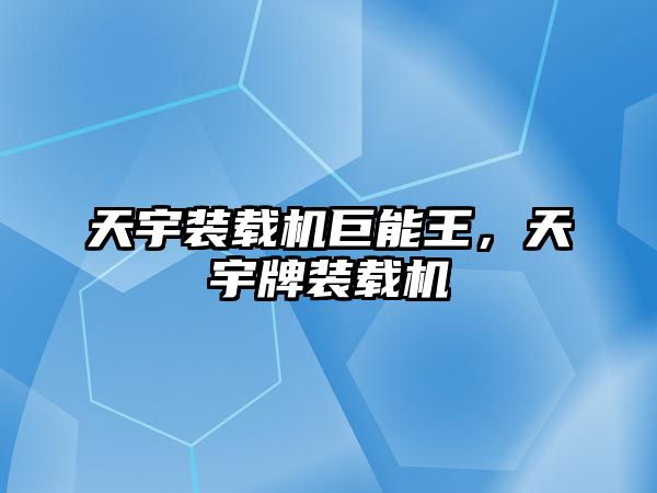 天宇裝載機巨能王，天宇牌裝載機