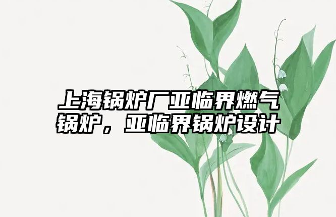 上海鍋爐廠亞臨界燃?xì)忮仩t，亞臨界鍋爐設(shè)計(jì)